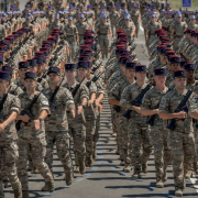 image article