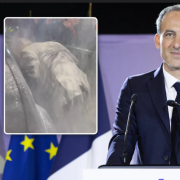 image article