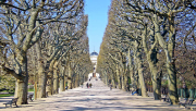 jardins, plantes, festival, faune, flore, musée, paris