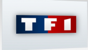 TF1 audiovisuel egalite des chances