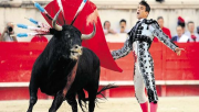 Corrida, Constitution