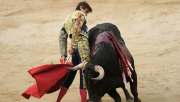 Corrida, Constitution