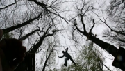 Saint-Cloud, environnement, parcours acrobatique