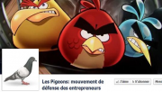 Pigeons, AutoEntrepreneur, Gouvernement
