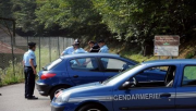 image article