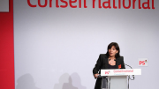 hidalgo, nkm, municipales2014