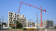 terranova, immobilier, croissance