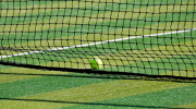 tennis, viol, levalloisperret